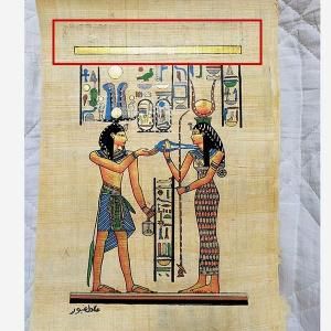 <img class='new_mark_img1' src='https://img.shop-pro.jp/img/new/icons1.gif' style='border:none;display:inline;margin:0px;padding:0px;width:auto;' />��B�ʡۥѥԥ륹���� A4���������ϥȥۥ�Ȳ���OP�ǳ��ա�ñ�ʤϥ᡼����OK�����դ�������ؤΤߡ�