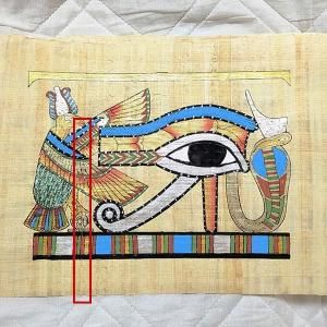 <img class='new_mark_img1' src='https://img.shop-pro.jp/img/new/icons1.gif' style='border:none;display:inline;margin:0px;padding:0px;width:auto;' />��B�ʡۥѥԥ륹���� A4���������ۥ륹���ܡ����ۿ��顼���ܡ�OP�ǳ��ա�ñ�ʤϥ᡼����OK�����դ�������ؤΤߡ�