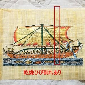 <img class='new_mark_img1' src='https://img.shop-pro.jp/img/new/icons1.gif' style='border:none;display:inline;margin:0px;padding:0px;width:auto;' />��B�ʡۥѥԥ륹���� A4���������ʥ������������OP�ǳ��ա�ñ�ʤϥ᡼����OK�����դ�������ؤΤߡ�