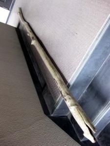流木の販売は流木屋 流木の販売は流木屋