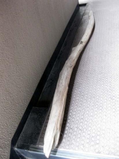 流木の販売は流木屋