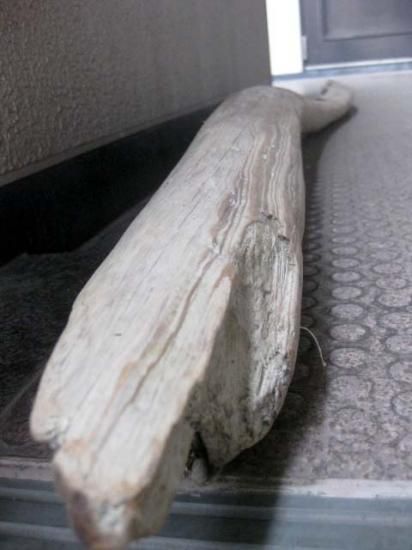 流木の販売は流木屋
