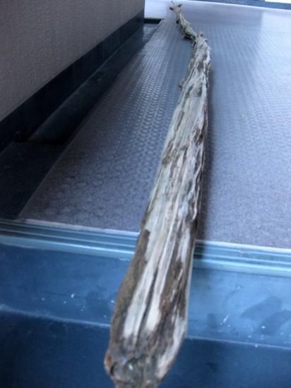 大型流木　インテリア売り物　90 × 40 × 57 大型流木 インテリア売り物 90 × 40 × 57 大型流木 インテリア売り物