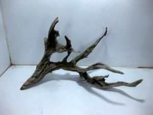 流木販売は流木屋