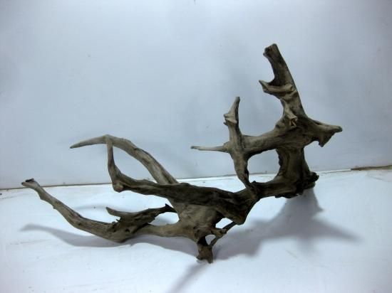 龍 流木 インテリア 縁起