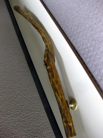 流木 - 流木屋～流木販売・流木アート・水槽流木・流木オブジェ