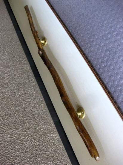 流木 - 流木屋～流木販売・流木アート・水槽流木・流木オブジェ