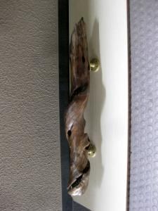 流木③ 流木 - 流木屋～流木販売・流木アート・水槽流木・流木オブジェ・流木