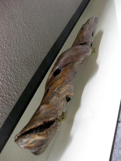 流木 - 流木屋～流木販売・流木アート・水槽流木・流木オブジェ・流木