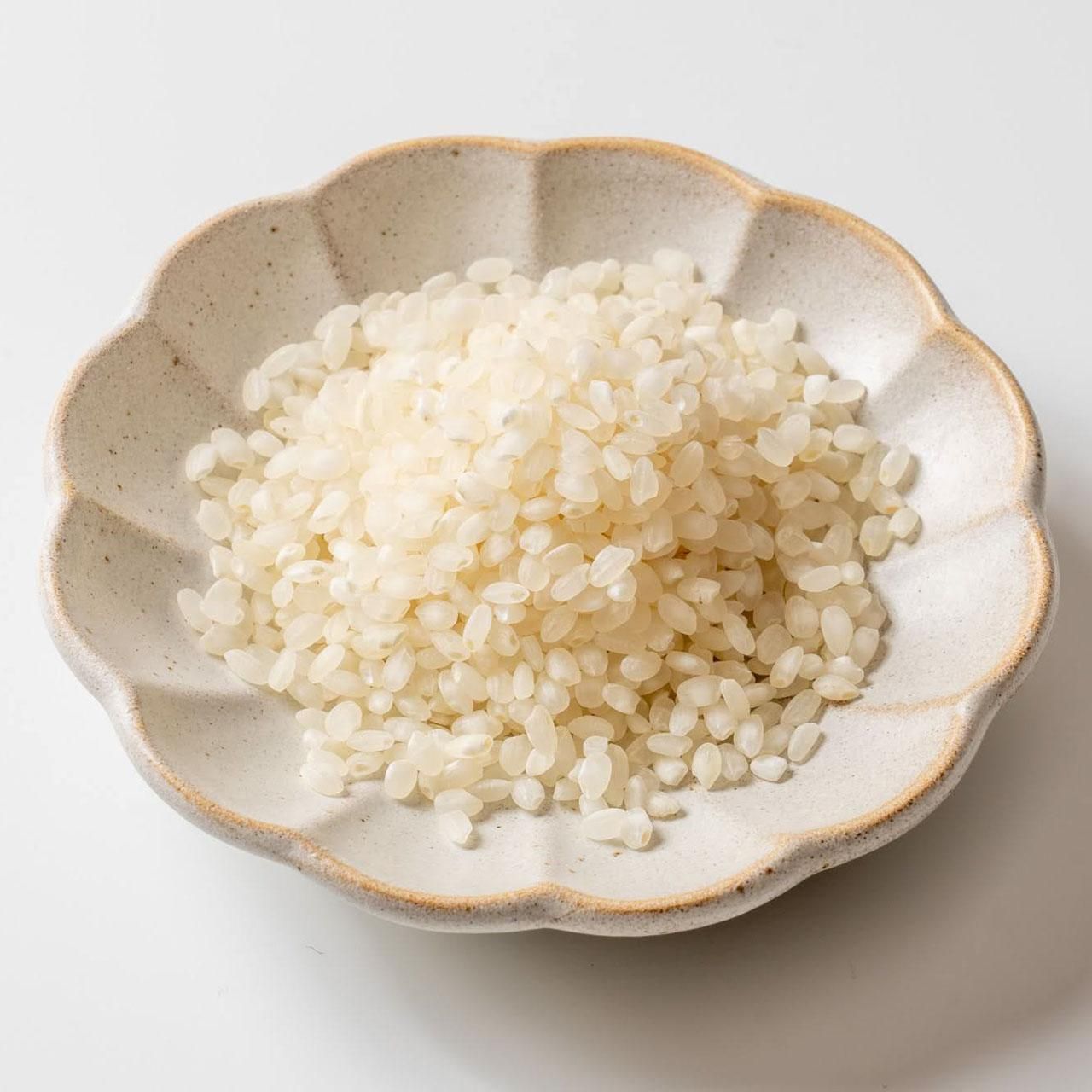生塩麹 160g（スパウトパック） - 高善商店