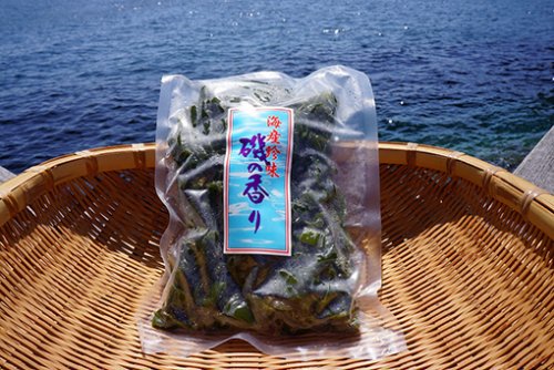 牛深産 塩蔵茎わかめ ４５０ｇ 天草の海のめぐみ からすみ専門店 井上勇商店