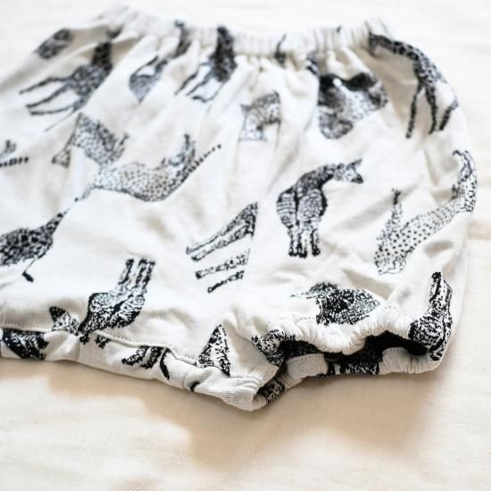 kucca ocotecoかぼちゃパンツ９０サイズ４枚セット かぼテコ（かぼちゃパンツ） - オーガニック布おむつのお店「kucca」