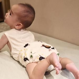 <img class='new_mark_img1' src='https://img.shop-pro.jp/img/new/icons1.gif' style='border:none;display:inline;margin:0px;padding:0px;width:auto;' />ۤĥСơץСФοby nikokuccacollaboration design  L֥륬