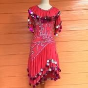 わやすけさま専用♫小柄な方に♪軽く踊りやすいベリーダンス衣装♫サイーディに 楽天市場】ベリーダンス 衣装 セットアップ レッスン着 練習着