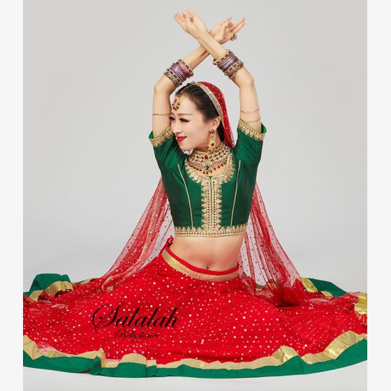 インド舞踊・ボリウッドダンス・ベリーダンス 豪華・スパンコール刺繍 