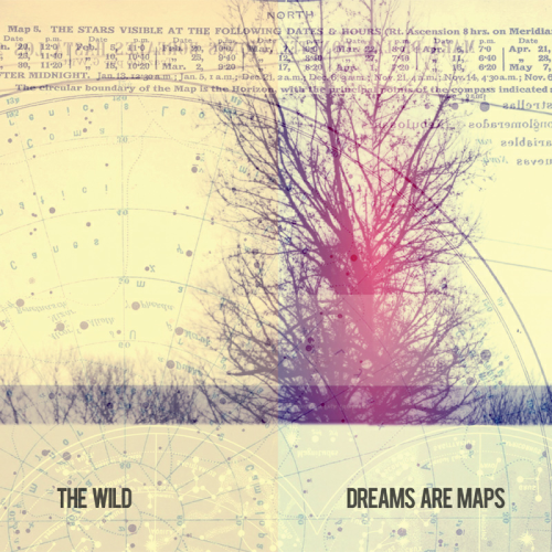 THE WILD - DREAMS ARE MAPS (CD)