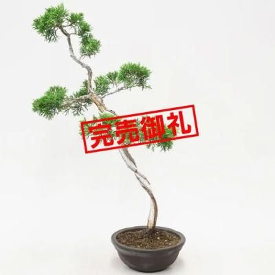 <img class='new_mark_img1' src='https://img.shop-pro.jp/img/new/icons44.gif' style='border:none;display:inline;margin:0px;padding:0px;width:auto;' />𡡻/ʸڡS01