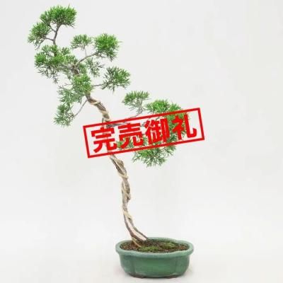 <img class='new_mark_img1' src='https://img.shop-pro.jp/img/new/icons44.gif' style='border:none;display:inline;margin:0px;padding:0px;width:auto;' />𡡻/ʸڡS02