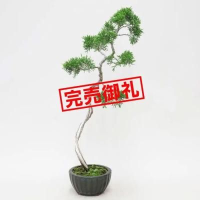 <img class='new_mark_img1' src='https://img.shop-pro.jp/img/new/icons44.gif' style='border:none;display:inline;margin:0px;padding:0px;width:auto;' />𡡻/ʸڡS04