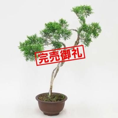 <img class='new_mark_img1' src='https://img.shop-pro.jp/img/new/icons44.gif' style='border:none;display:inline;margin:0px;padding:0px;width:auto;' />𡡻/ʸڡS05