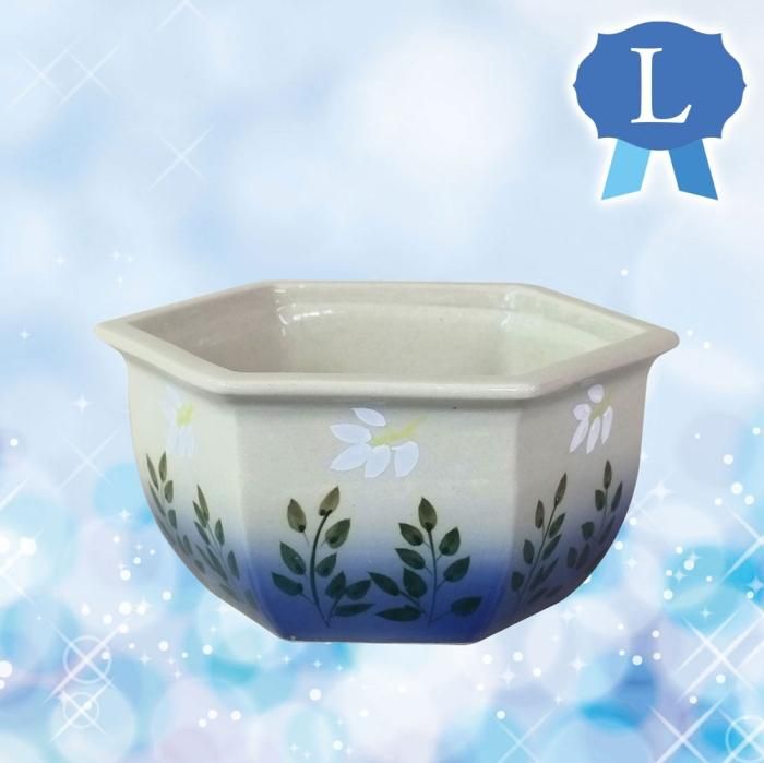 商品一覧【睡蓮鉢】清風園 グリーンパレス 公式通販サイト