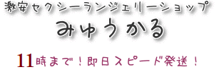 激安セクシーランジェリーショップ みゅうかる