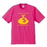 Rare Official Teenage Fanclub Tour Band T-Shirt from Japan