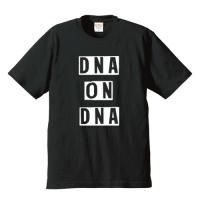 DNA /  1 (6.2 ץߥ T 2)