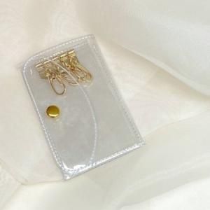 Aquvii Clear Key Case