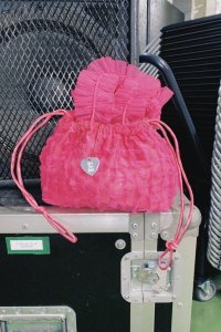 <img class='new_mark_img1' src='https://img.shop-pro.jp/img/new/icons14.gif' style='border:none;display:inline;margin:0px;padding:0px;width:auto;' />HEY! Mrs ROSE Tulle Smocking BAG