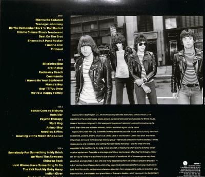 【24】RAMONES MANIA 2LP レコード Ramones – Ramones Mania / LP [USED] - r (アール)