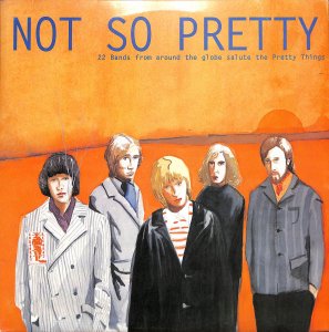 Various – Not So Pretty (A Tribute To The Pretty Things) / LP [USED]