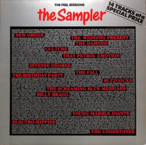 Various – The Peel Sessions - The Sampler / LP [USED]