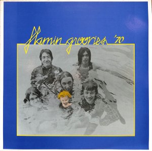 Flamin Groovies – Flamin Groovies '70  / LP [USED]