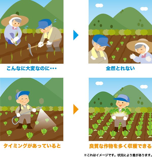 予測対処法を利用した農業でタイミングが合っていると良質な作物を多く収穫できる　イメージ図