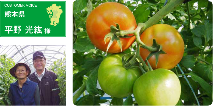 トマト　栽培事例