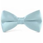 Ҷ 饤ȥ֥롼 ĳͥ ܥ