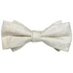 ۥ磻 ʪ ե ѷ ĳͥ ܥ<img class='new_mark_img2' src='https://img.shop-pro.jp/img/new/icons9.gif' style='border:none;display:inline;margin:0px;padding:0px;width:auto;' />