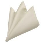 �����ѥ� �ݥ��åȥ�����