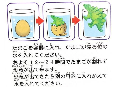 恐竜金のたまご|おもちゃ・縁日玩具・クレーンゲーム景品 恐竜金のたまご|おもちゃ・縁日玩具・クレーンゲーム景品
