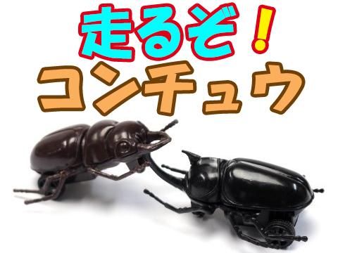  뤾奦ñۣ
