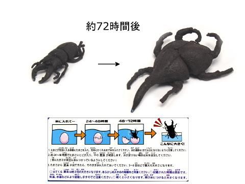 昆虫のたまご おもちゃ ホビー ゲーム 縁日玩具 大国屋 昆虫のたまご おもちゃ ホビー ゲーム 縁日玩具 大国屋