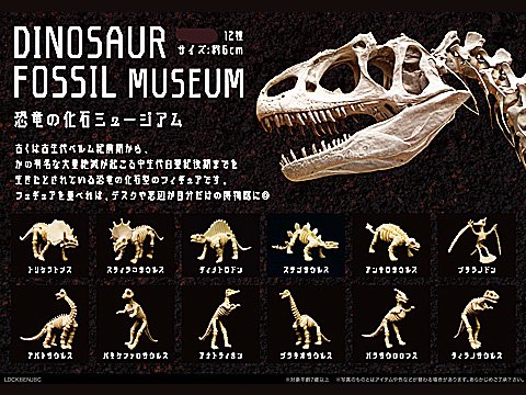  恐竜の化石ミュージアム　【単価￥２１】１２入