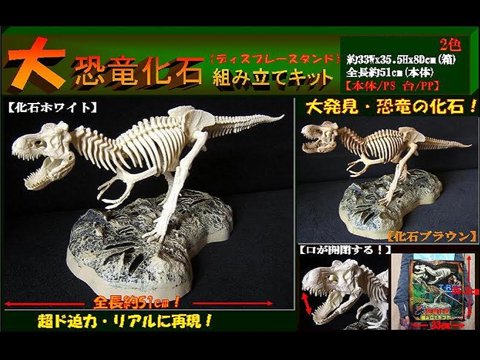 大恐竜化石組み立てキット | おもちゃ・ホビー・ゲーム・縁日玩具・大国屋