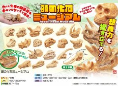  頭の化石ミュージアム　３９６２　【単価￥３８】４０入