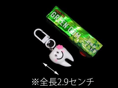 ダリエ様 入れ歯キーホルダー オーダーページ c0662fa8995d9d755c91c025deea6c