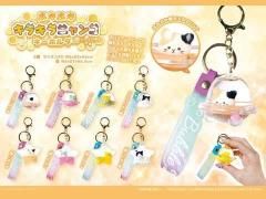 <img class='new_mark_img1' src='https://img.shop-pro.jp/img/new/icons12.gif' style='border:none;display:inline;margin:0px;padding:0px;width:auto;' />פפ饭˥󥳣ˣȥȥåդñۣξʼ̿