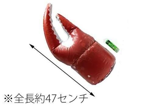 <img class='new_mark_img1' src='https://img.shop-pro.jp/img/new/icons12.gif' style='border:none;display:inline;margin:0px;padding:0px;width:auto;' />ˤޥ֡ñۣβ