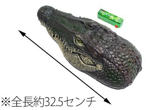 <img class='new_mark_img1' src='https://img.shop-pro.jp/img/new/icons12.gif' style='border:none;display:inline;margin:0px;padding:0px;width:auto;' />פפ⤫֤ɤäꥯñۣβ