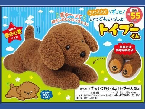  äȤĤǤ⤤ä硪ȥס󣵣ȣáݣñۣ